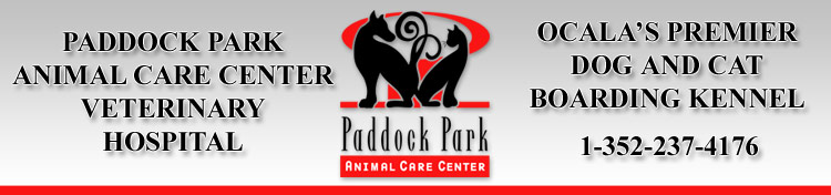 Ocala Veterinarians, Veterinarian Ocala, dog boarding, cat boarding, bird boarding, dog kennel, cat kennel, animal hospital, Ocala, Florida